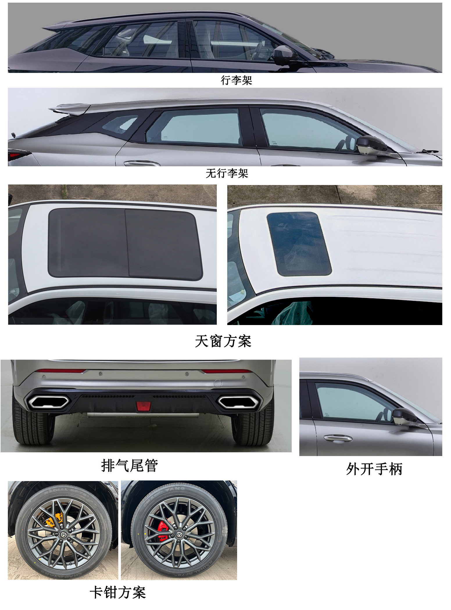 多用途乘用车图片