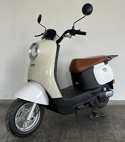 电动两轮摩托车