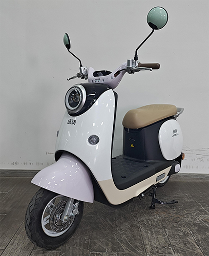 LJ1000DT-10 绿驹牌纯电动前盘式/鼓式后鼓式电动两轮摩托车图片