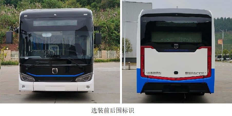 纯电动低入口城市客车图片