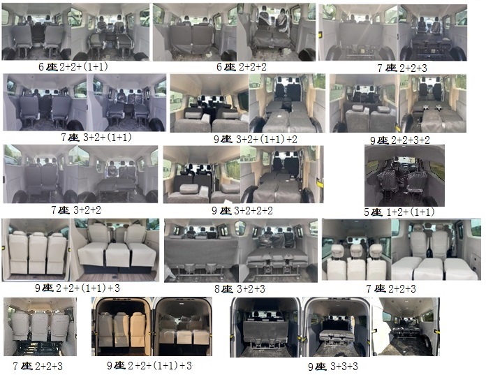 纯电动多用途乘用车图片
