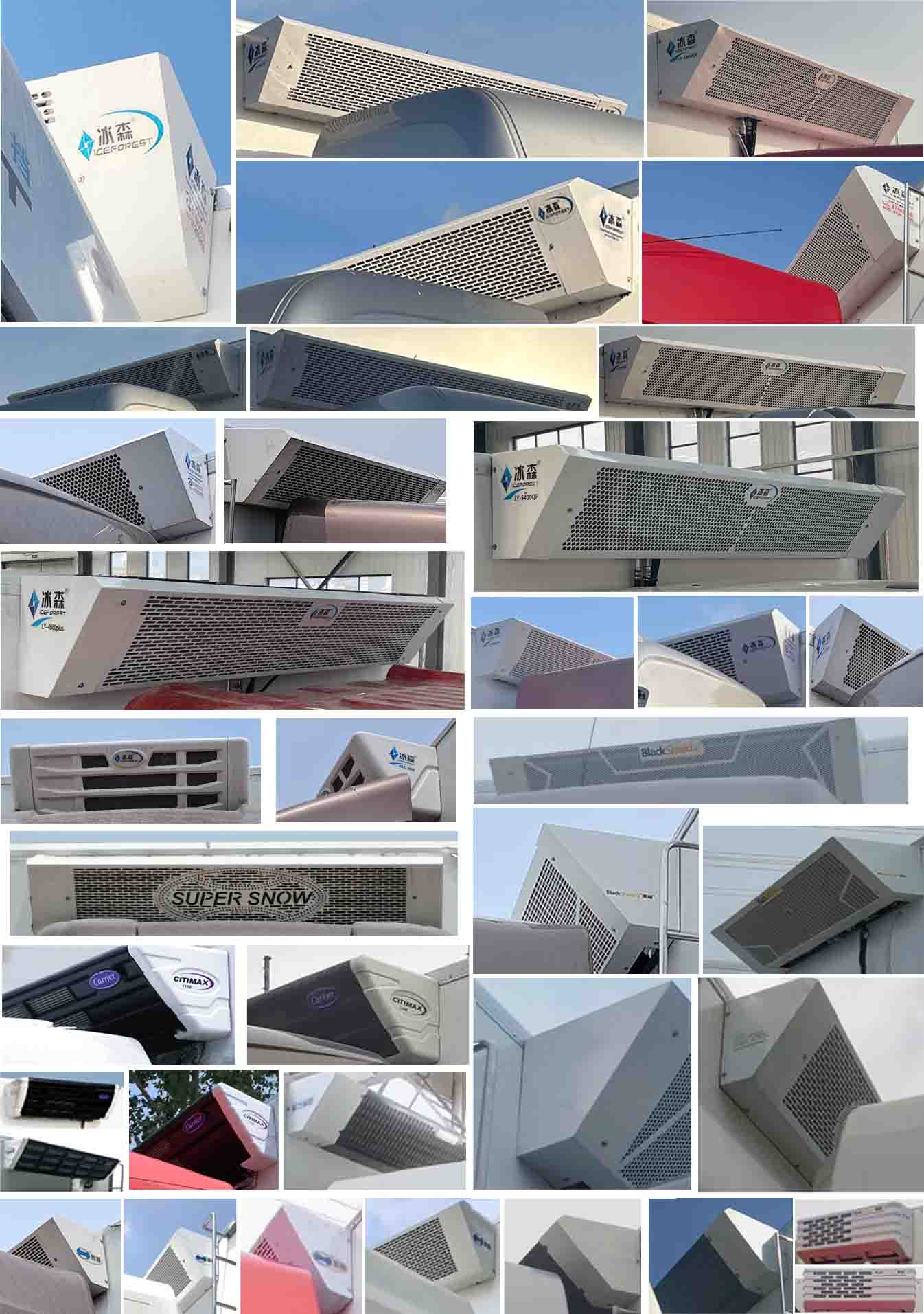 綠茵福達(dá)牌LFD5320XLCBJ6冷藏車公告圖片