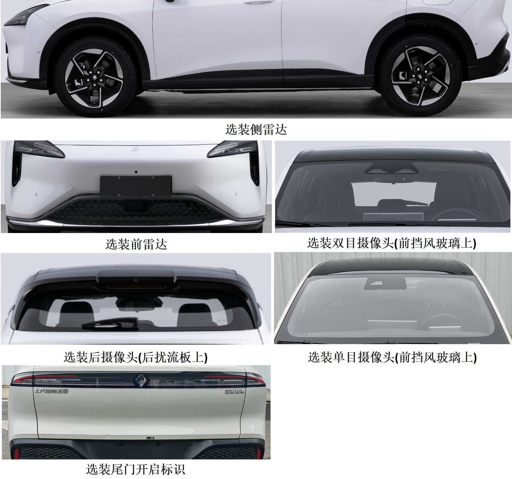 宝骏牌LZW6452EVB纯电动多用途乘用车公告图片