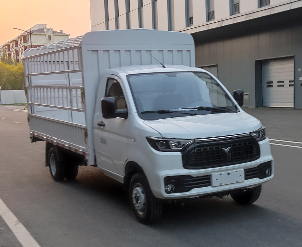 雷驰牌HLD5032CCYBEV纯电动仓栅式运输车