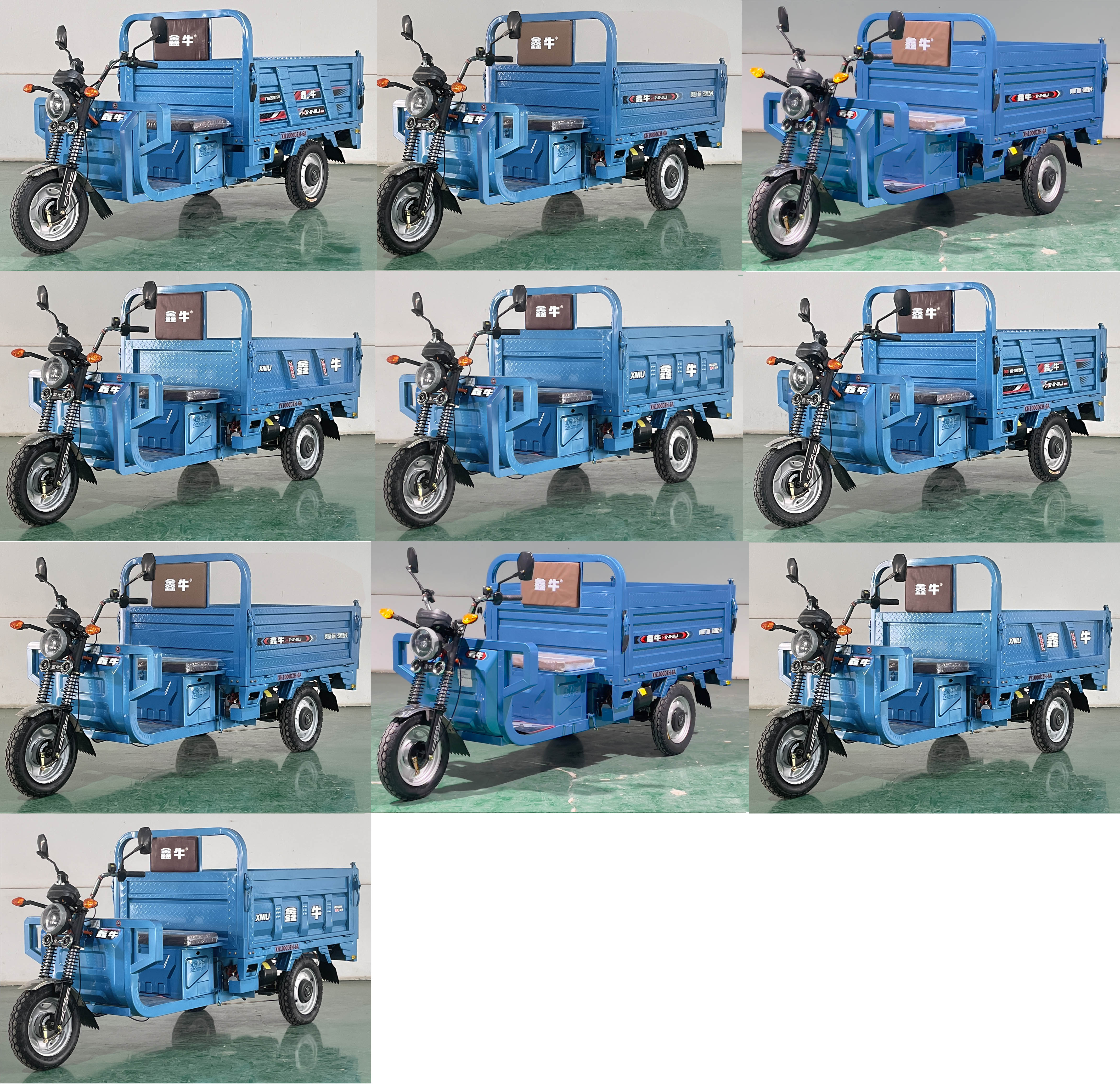 鑫牛牌XN1000DZH-6A电动正三轮摩托车公告图片