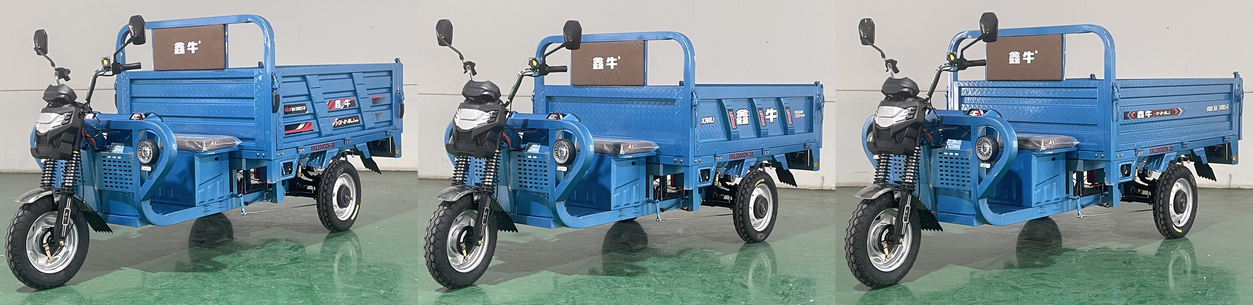 鑫牛牌XN1200DZH-2D电动正三轮摩托车公告图片