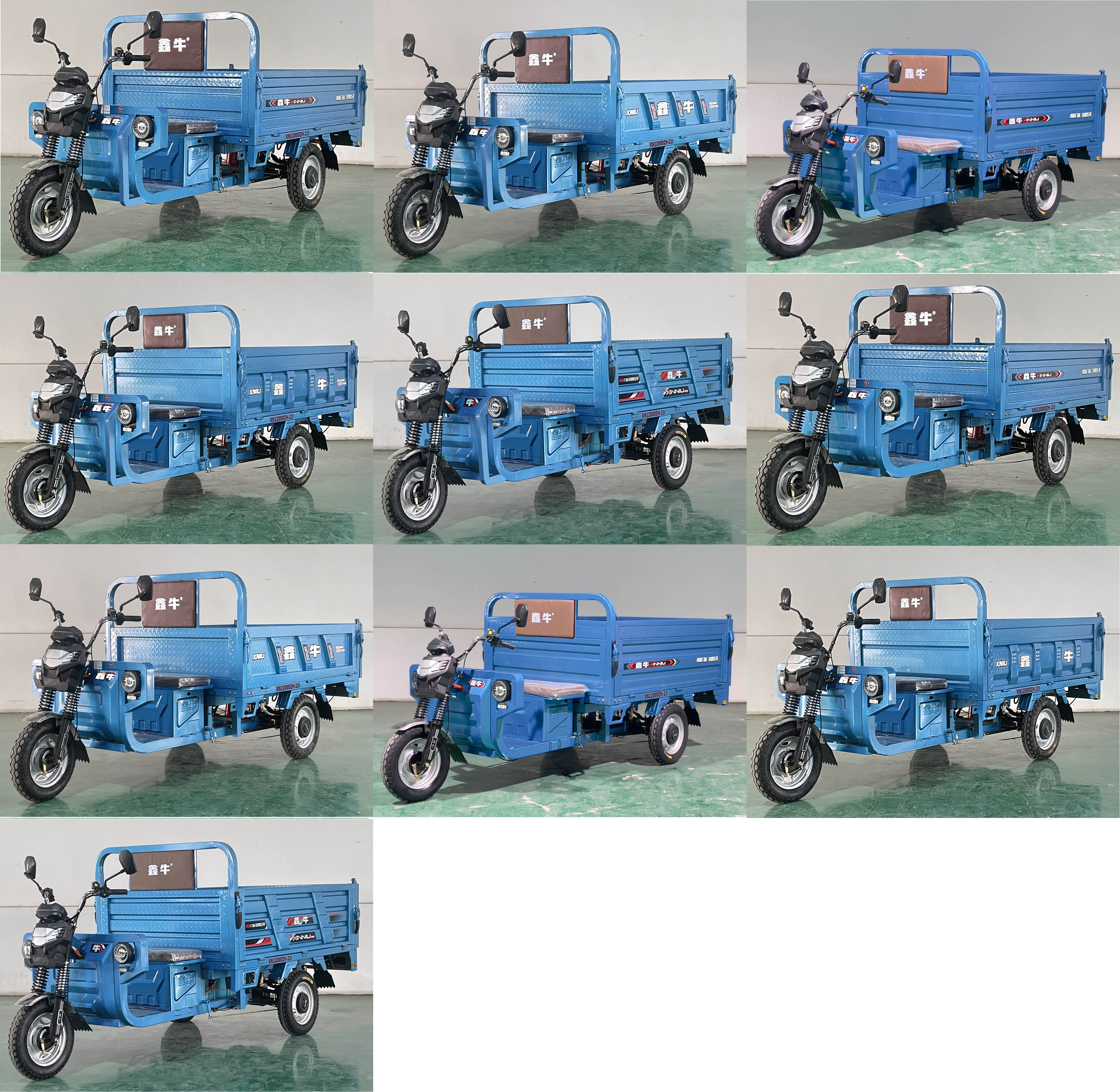 鑫牛牌XN1200DZH-2D电动正三轮摩托车公告图片