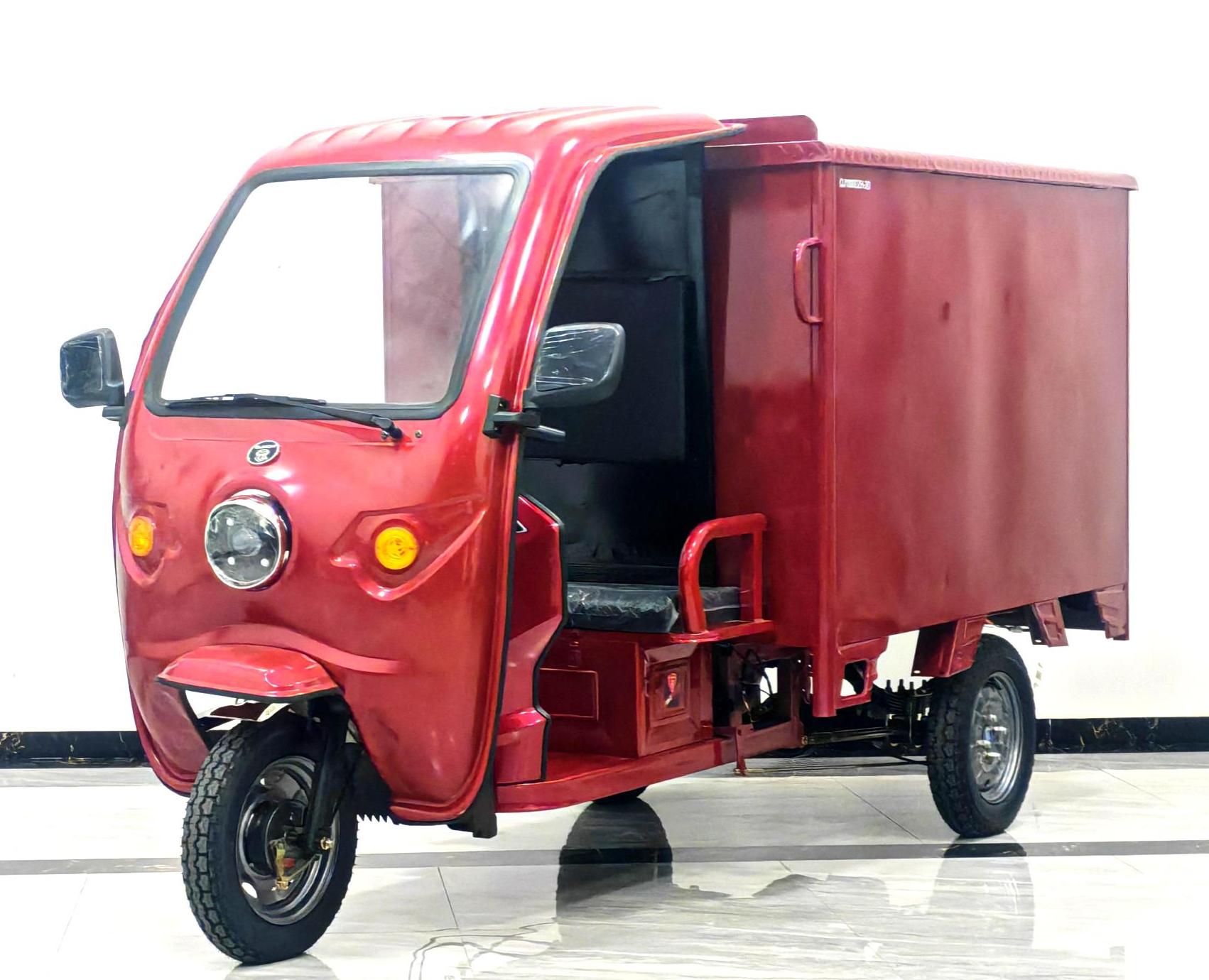 钱江王中王牌QJ1000DZH-3D电动正三轮摩托车公告图片