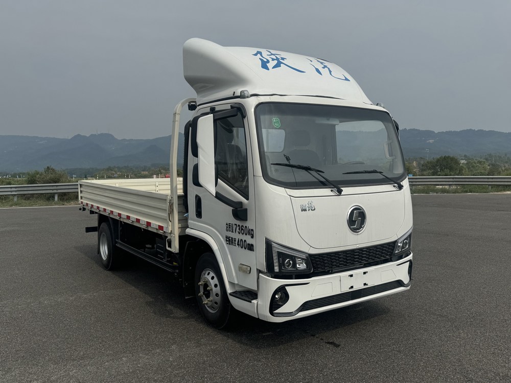 陕汽牌 165马力 载货汽车(SX1079NP6341)