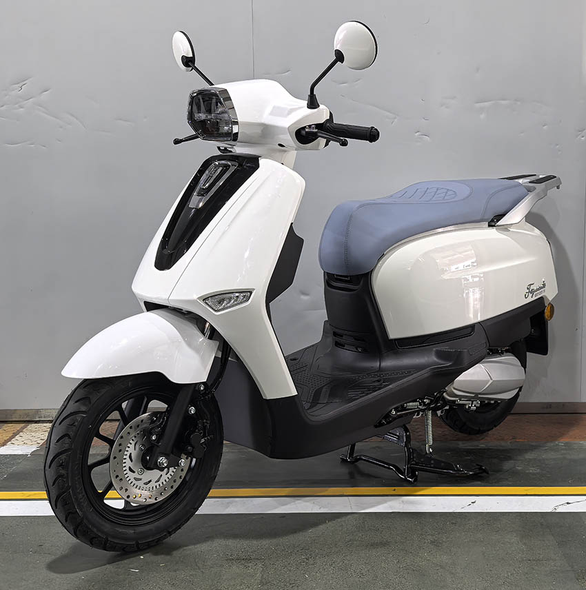古思特牌GST125T-11两轮摩托车公告图片