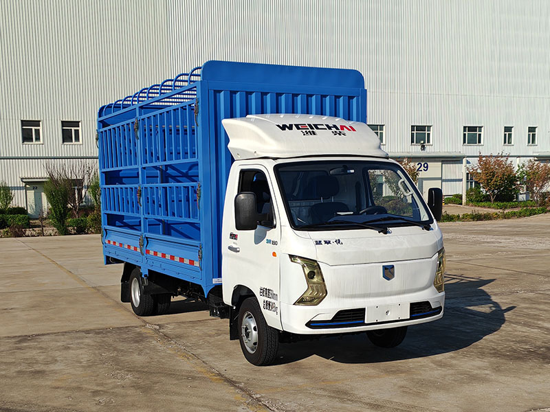蓝擎牌YTQ5032CCYSDEV331-LQ纯电动仓栅式运输车