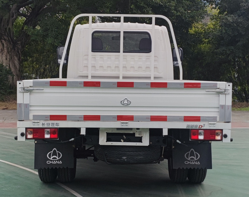 CKS1032D3BD6B2 长安牌122马力单桥汽油3.3米国六载货汽车图片