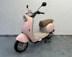 电动两轮轻便摩托车