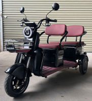电动正三轮摩托车