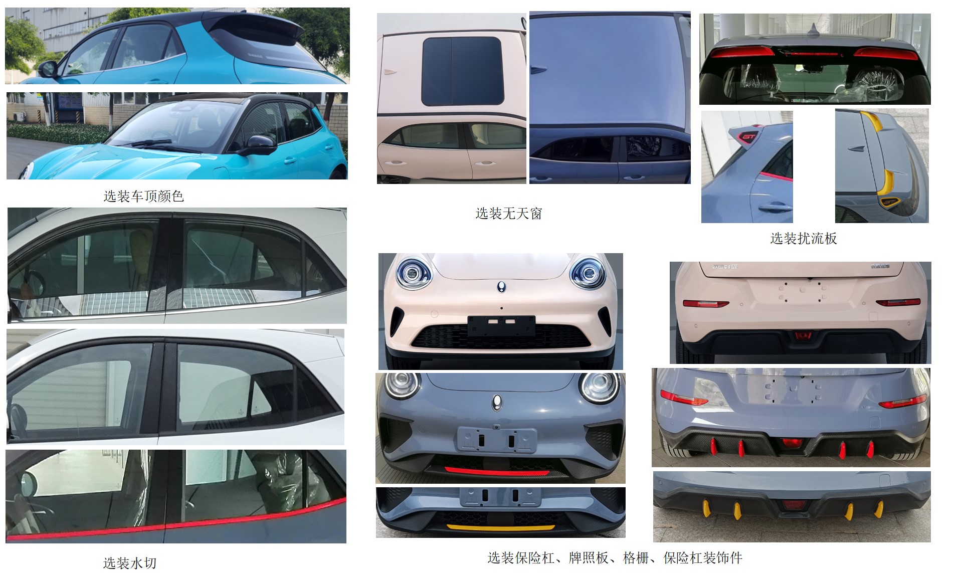 纯电动多用途乘用车图片