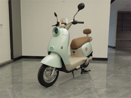 电动两轮摩托车