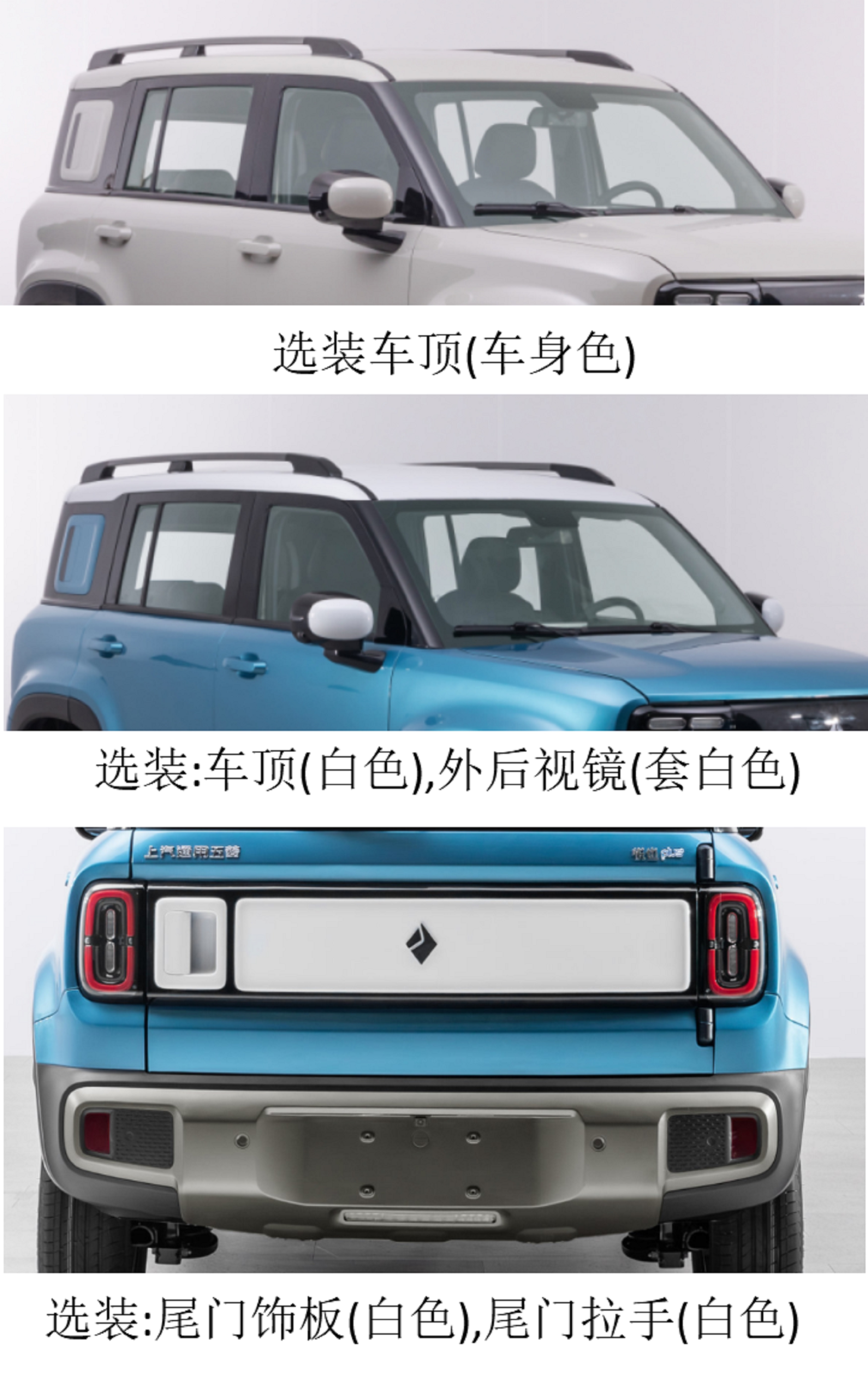 纯电动运动型乘用车图片