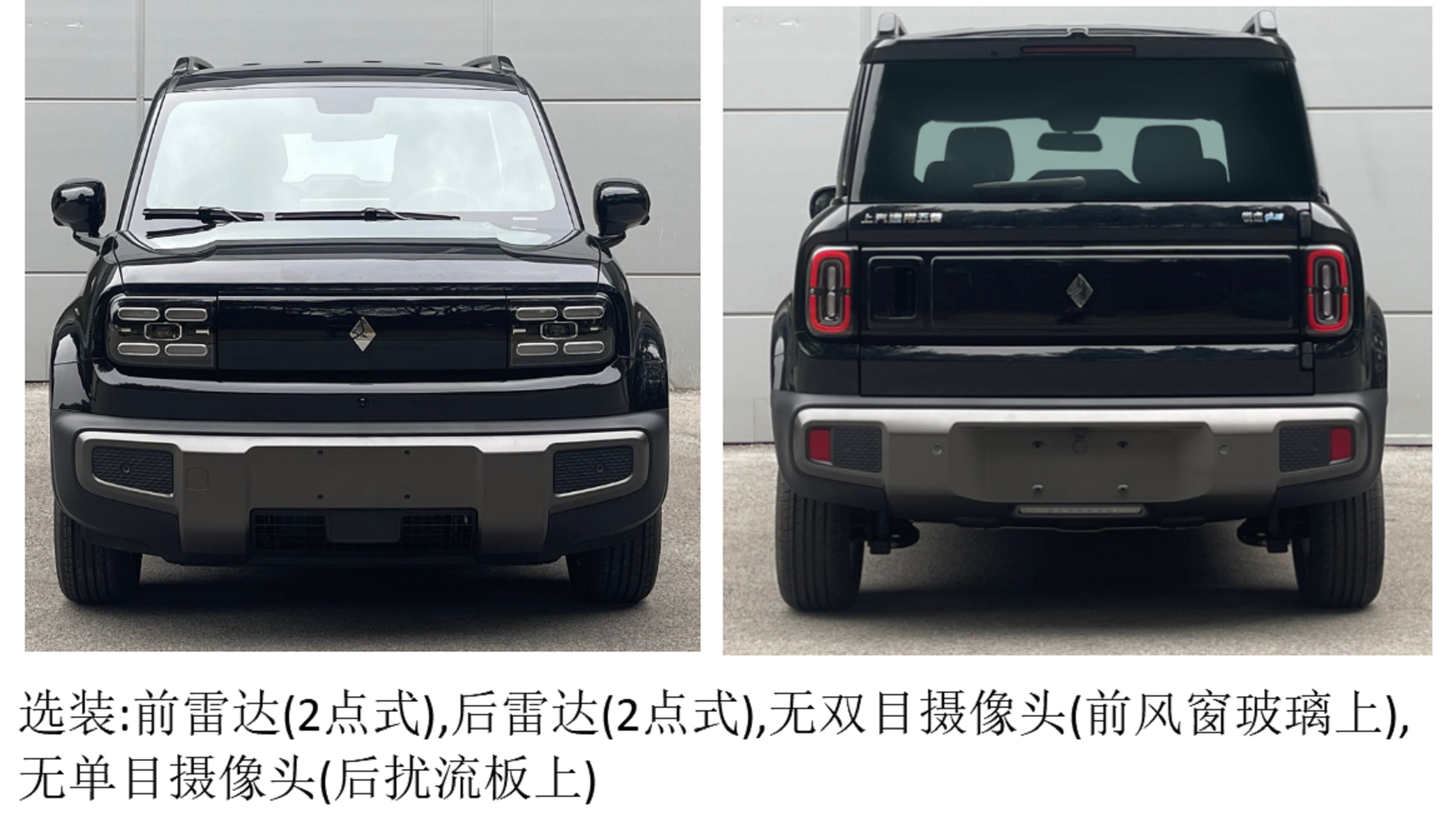纯电动运动型乘用车图片