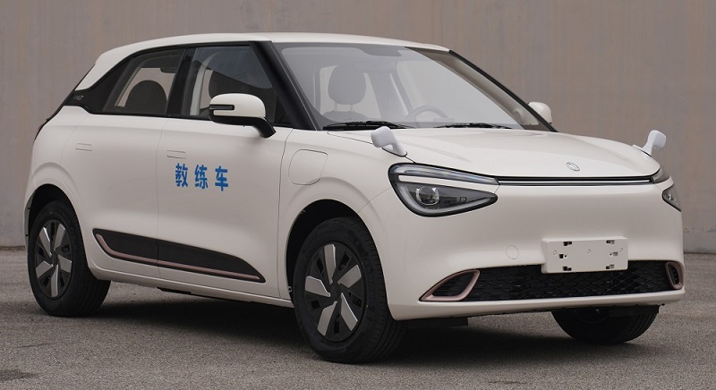 东风牌DFM5020XLHBEV1纯电动教练车