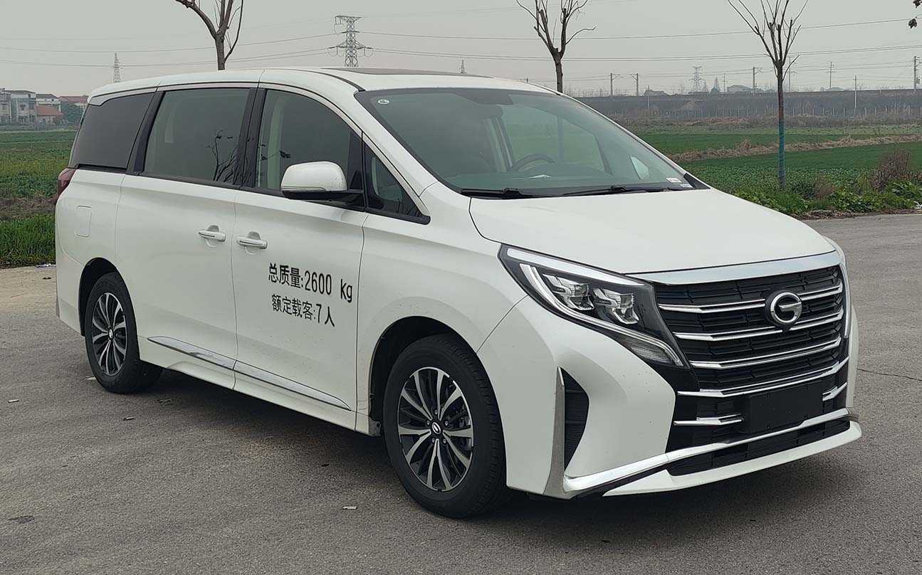 凌扬牌LYP5033XSW商务车