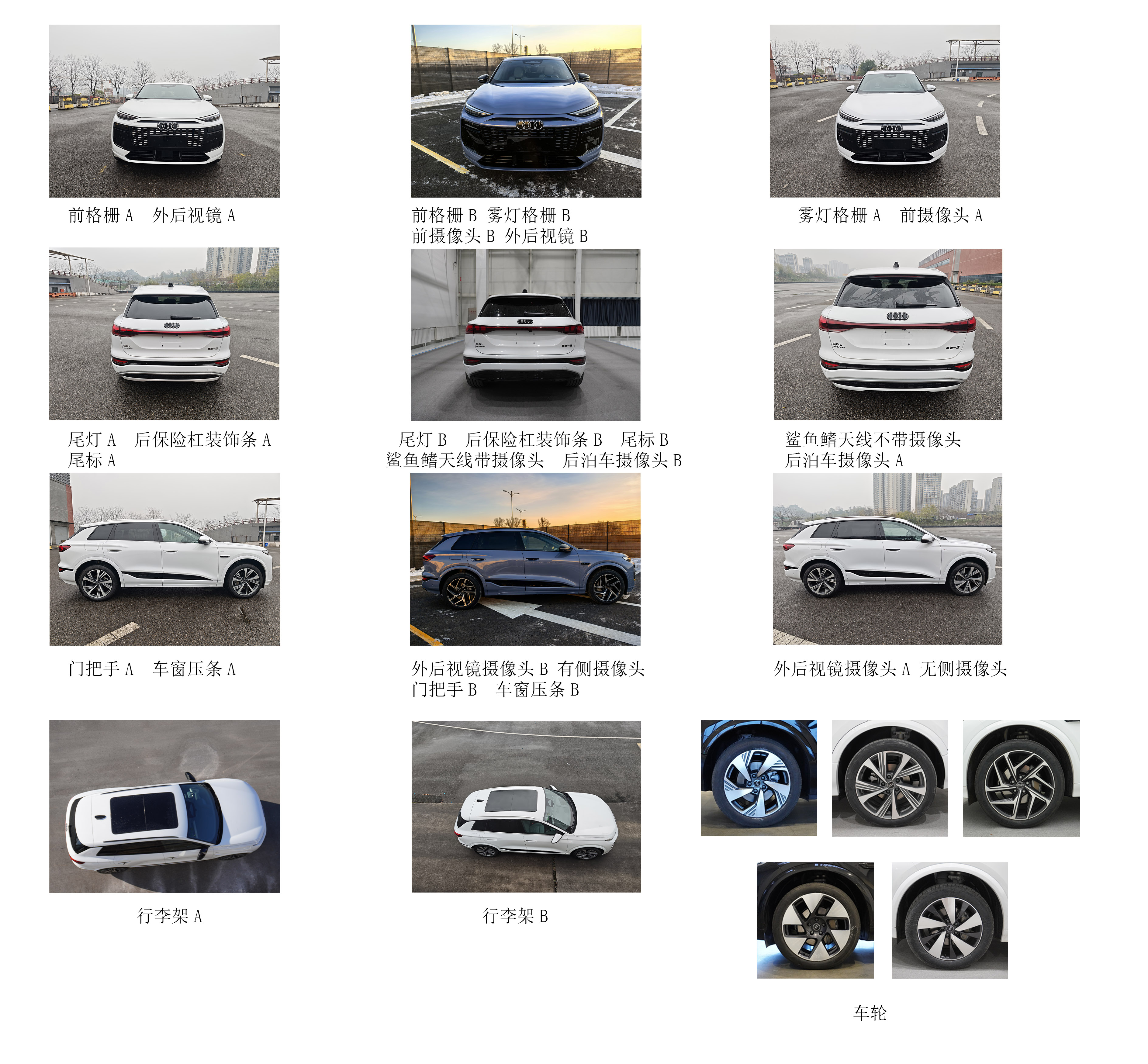 纯电动多用途乘用车图片