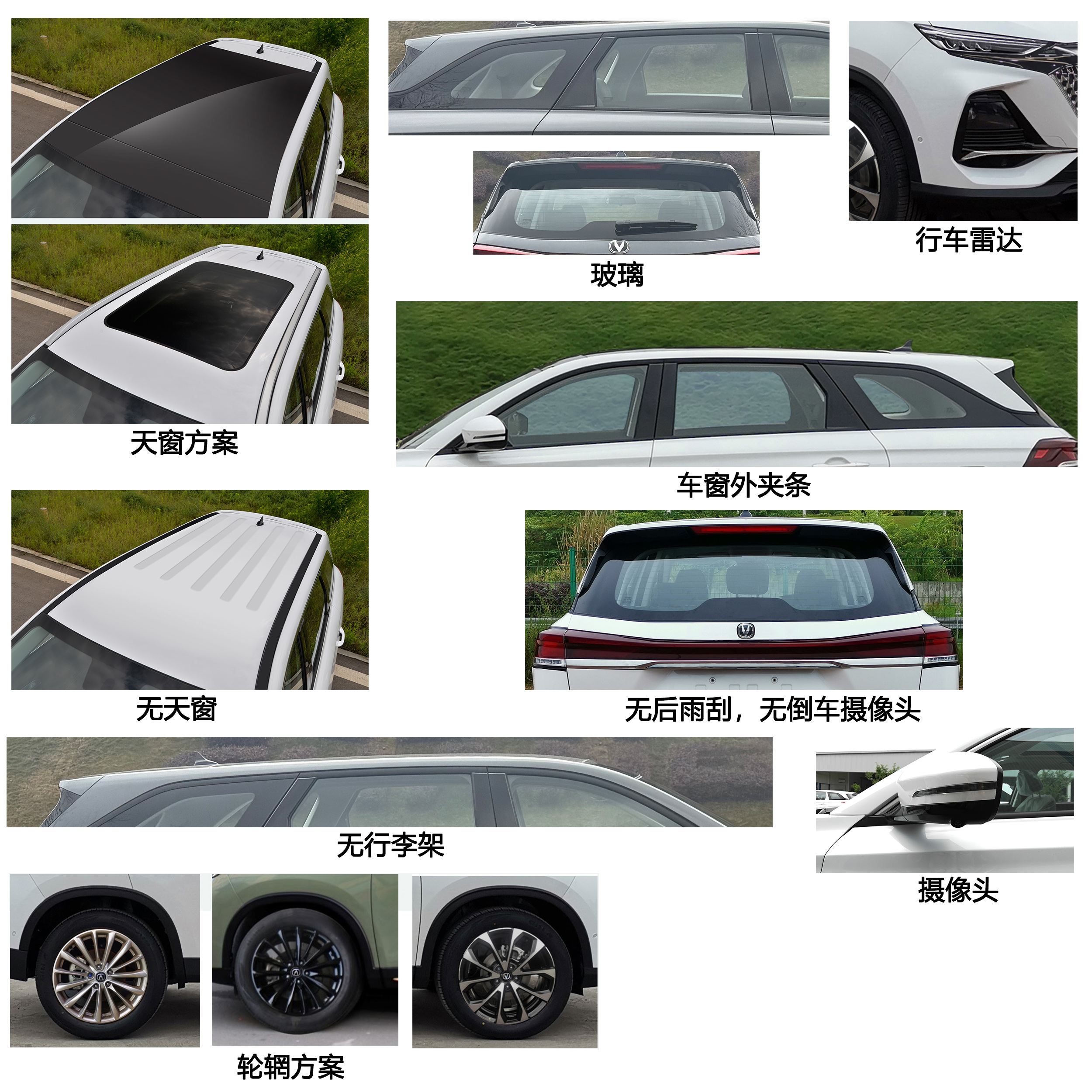多用途乘用车图片