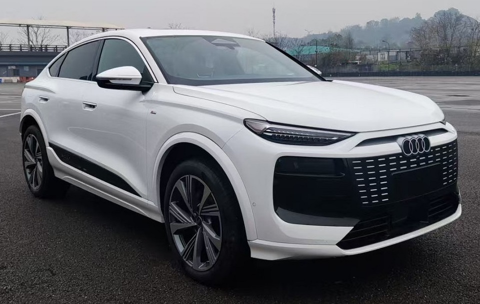 奥迪牌4.9米5座纯电动多用途乘用车(AFN6490SAABEVA)