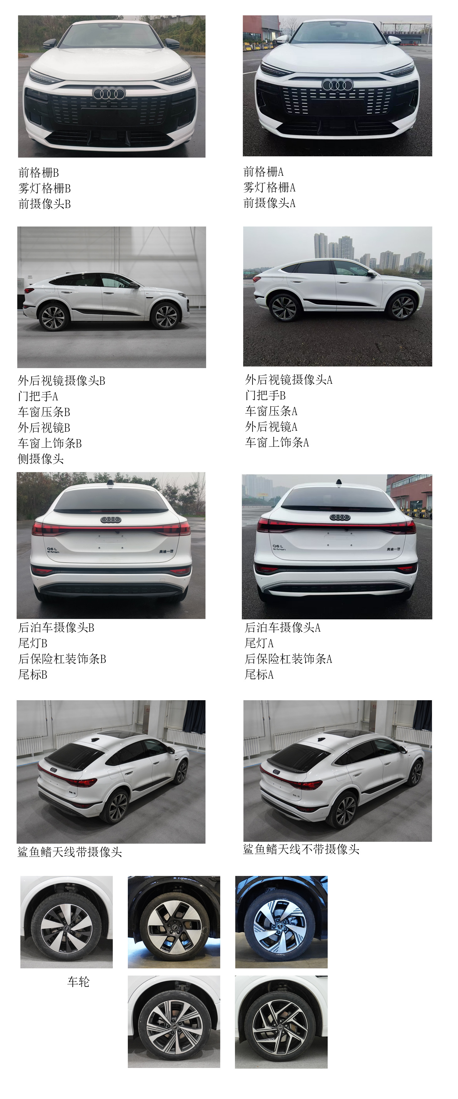 纯电动多用途乘用车图片