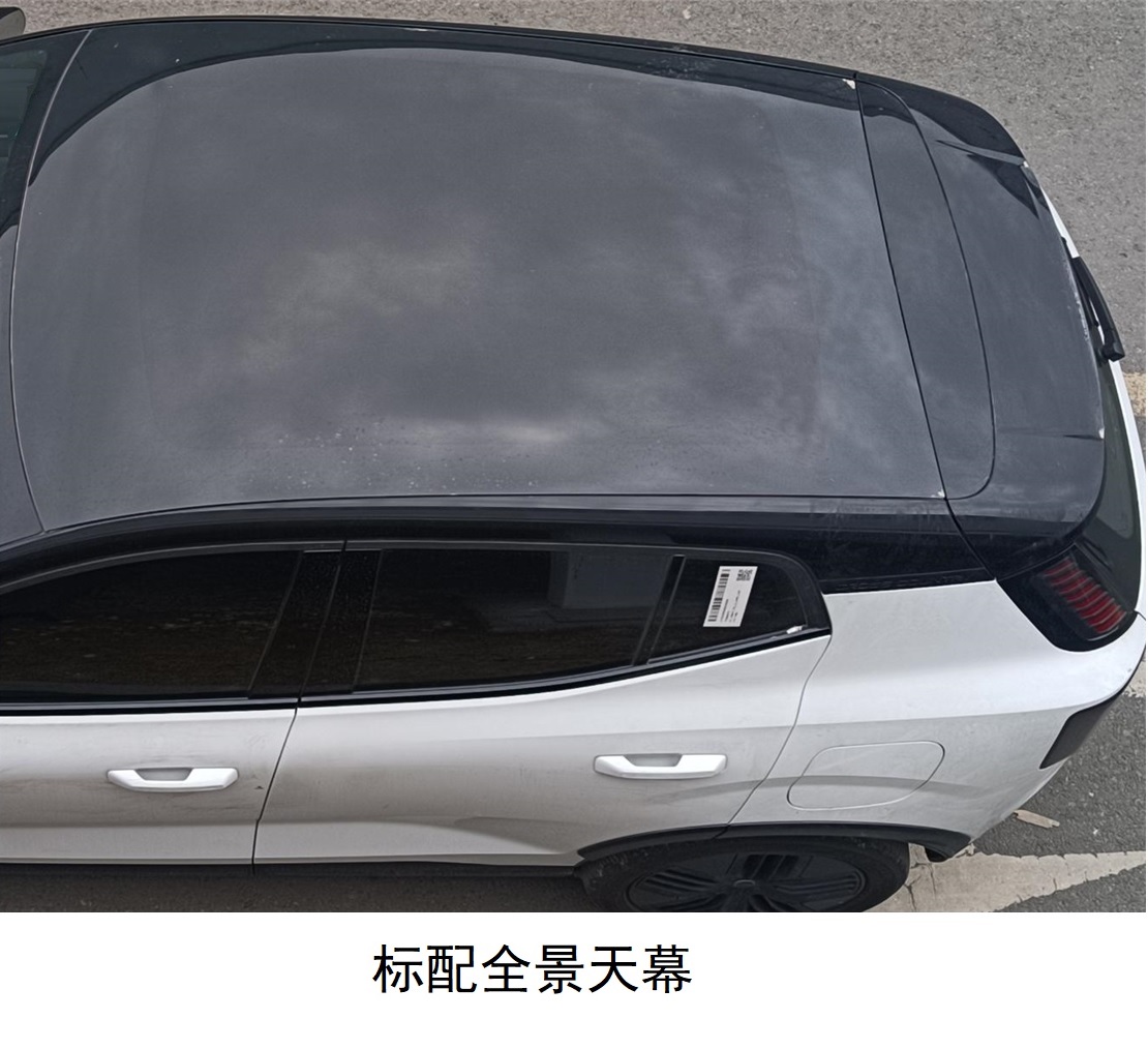 纯电动轿车图片