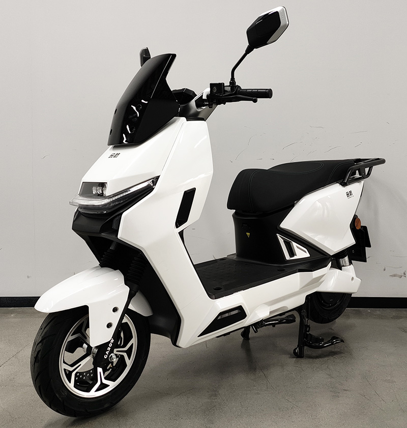 JJ1200DT-78 金箭牌纯电动前盘式后盘式电动两轮摩托车图片