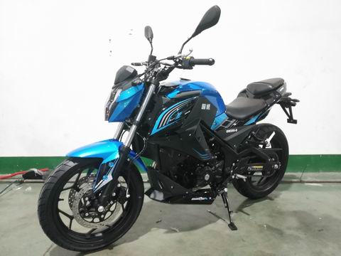 国威牌GW250-G两轮摩托车公告图片