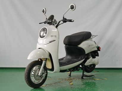 KY800DQT-2 庆雅牌纯电动前盘式后鼓式电动两轮轻便摩托车图片