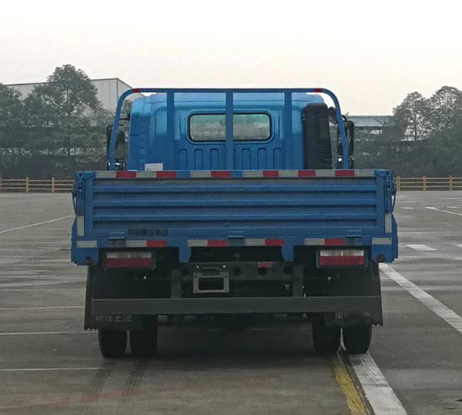 CDW1110HA1Q6 王牌牌170马力单桥柴油6.2米国六载货汽车图片