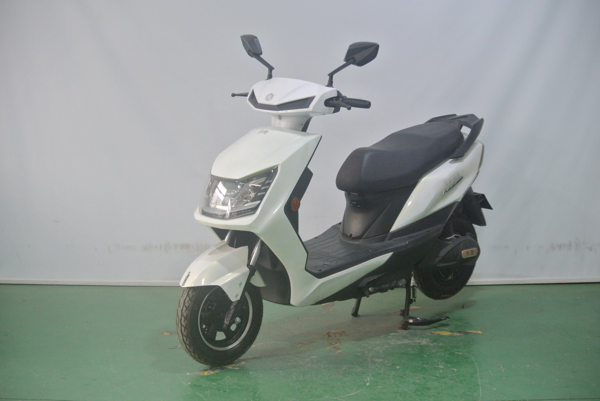 KY800DQT-16 庆雅牌纯电动前盘式后鼓式电动两轮轻便摩托车图片