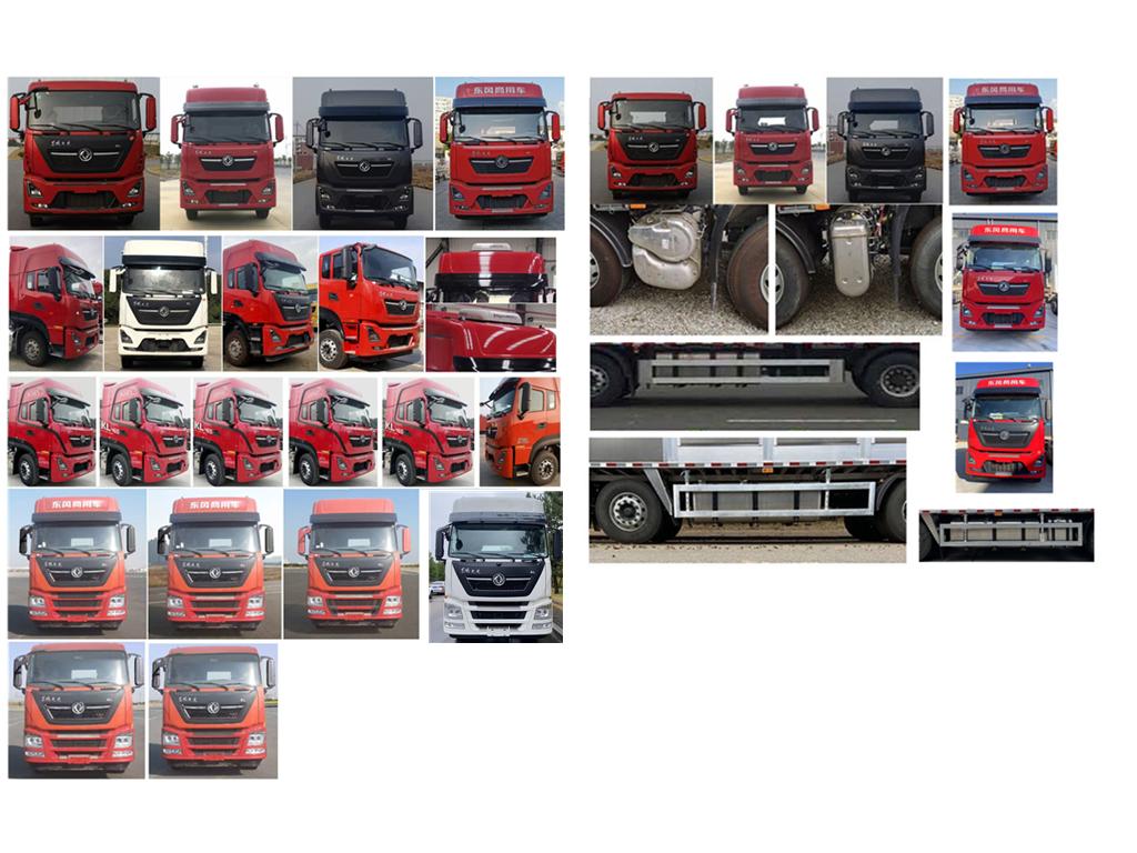 高賽華運(yùn)牌CGS5311CCQ畜禽運(yùn)輸車(chē)公告圖片