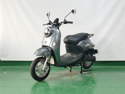 电动两轮轻便摩托车