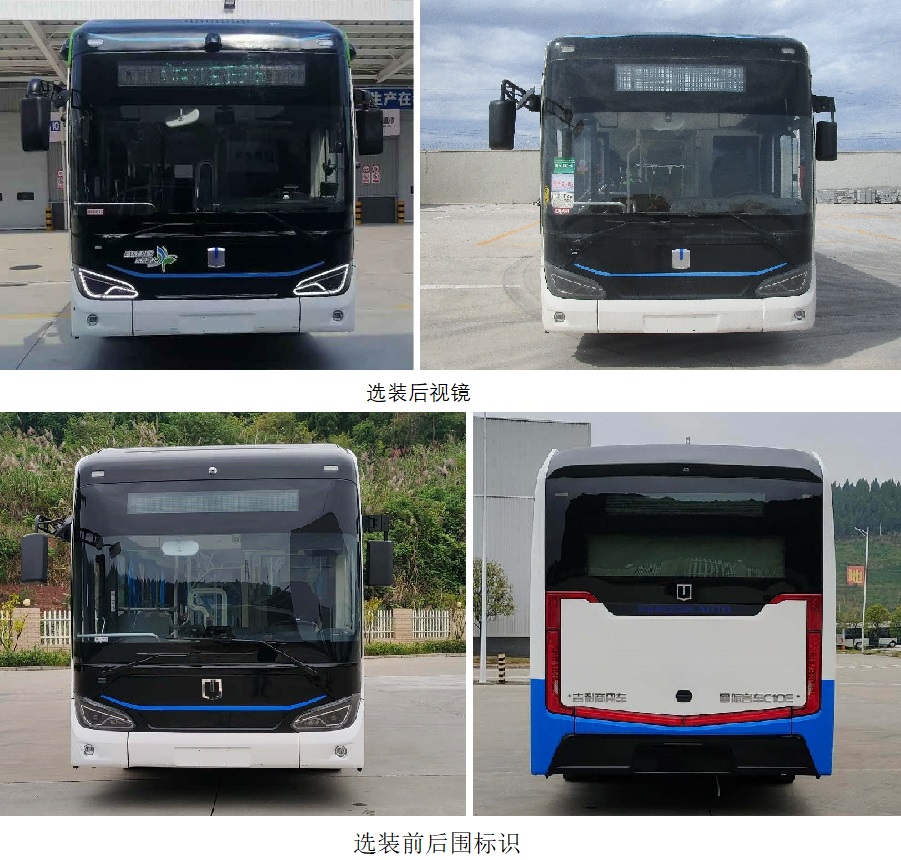 纯电动低入口城市客车图片