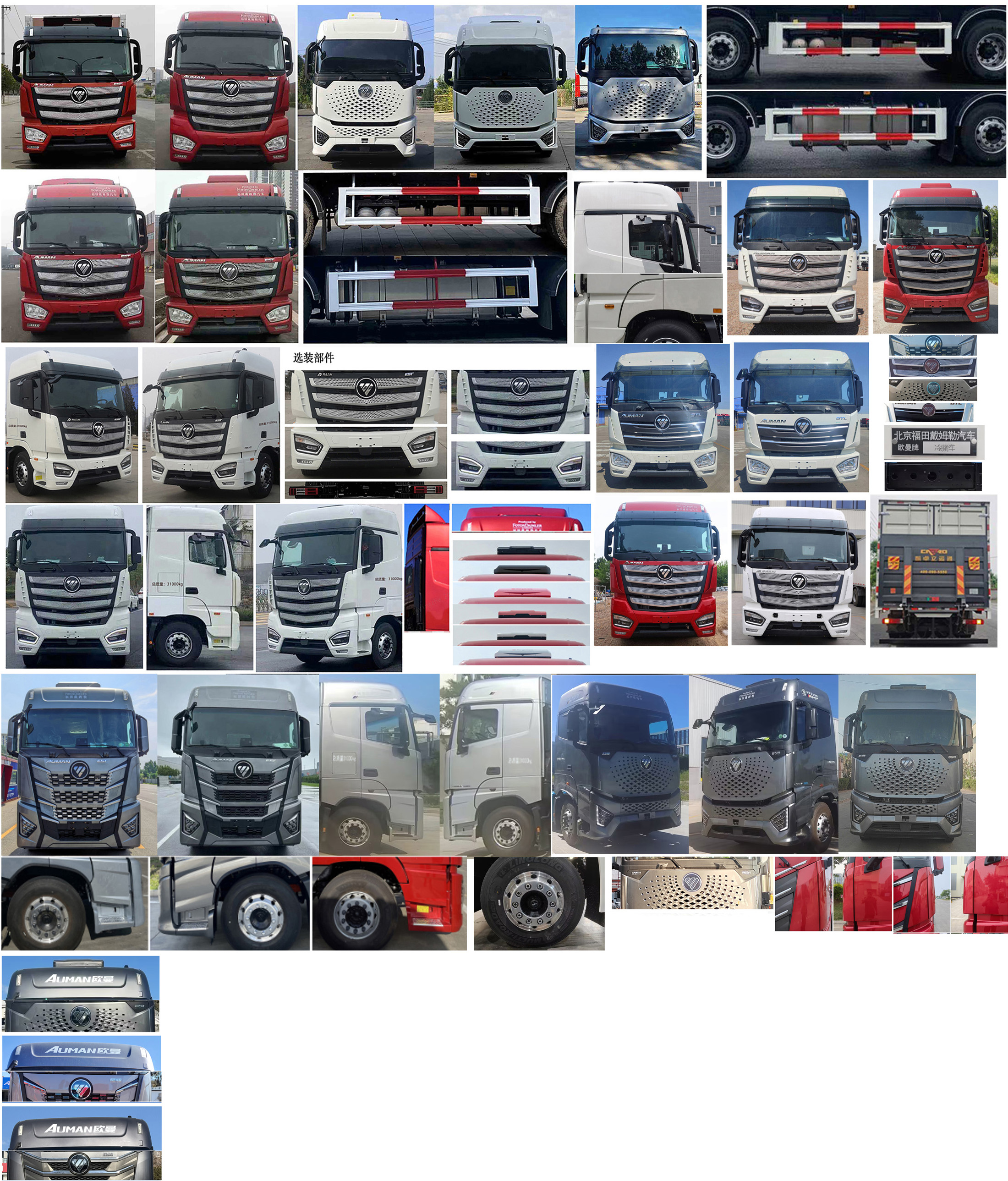 歐曼牌BJ5319XLCY6GRL-03冷藏車(chē)公告圖片