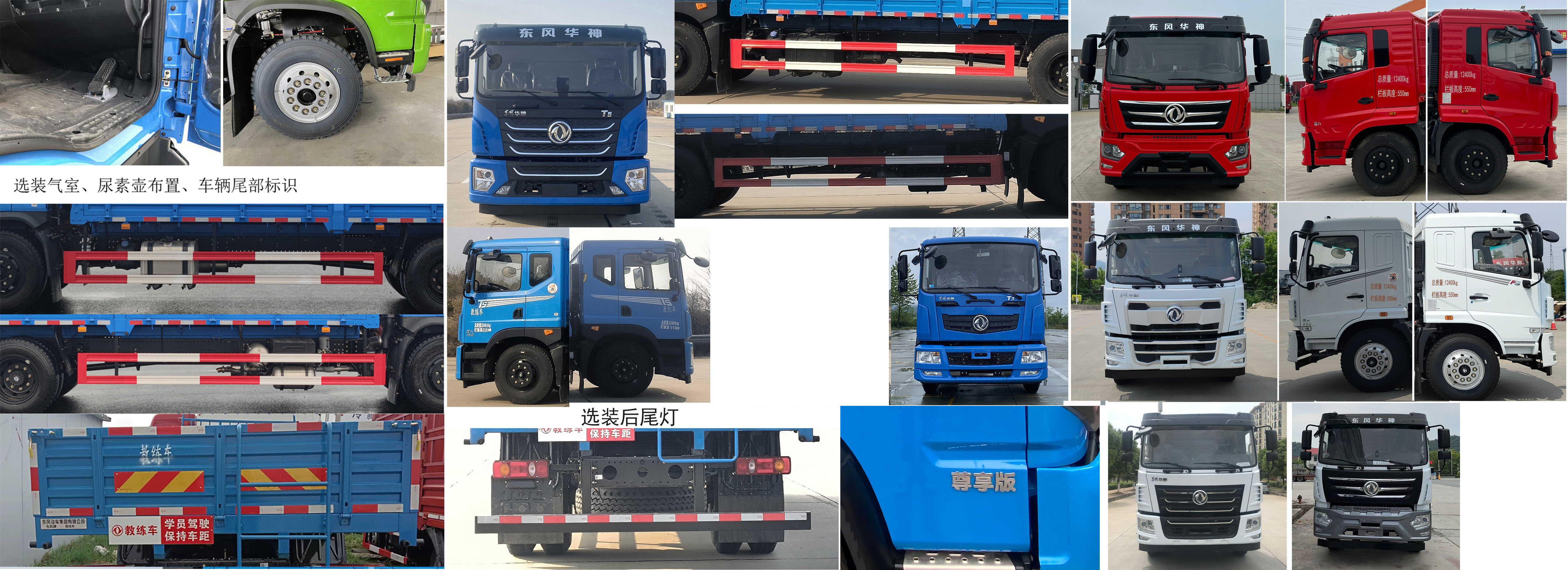 東風(fēng)牌EQ5126XLHL6D教練車公告圖片