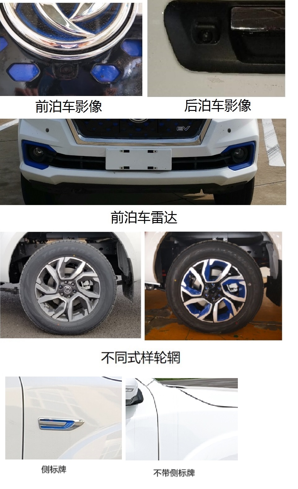 纯电动多用途乘用车图片