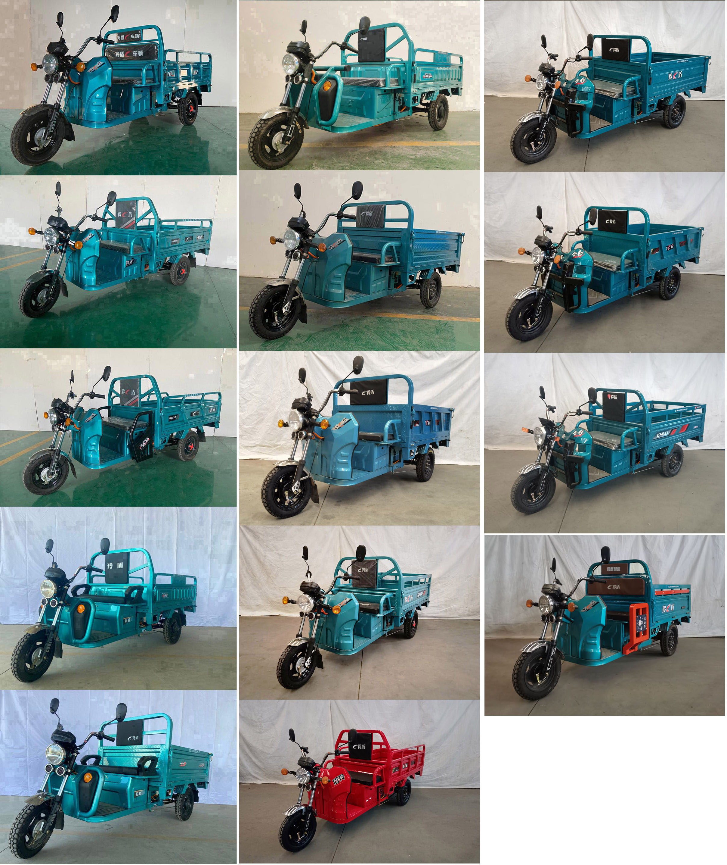 羚盾牌LD1500DZH-2电动正三轮摩托车公告图片