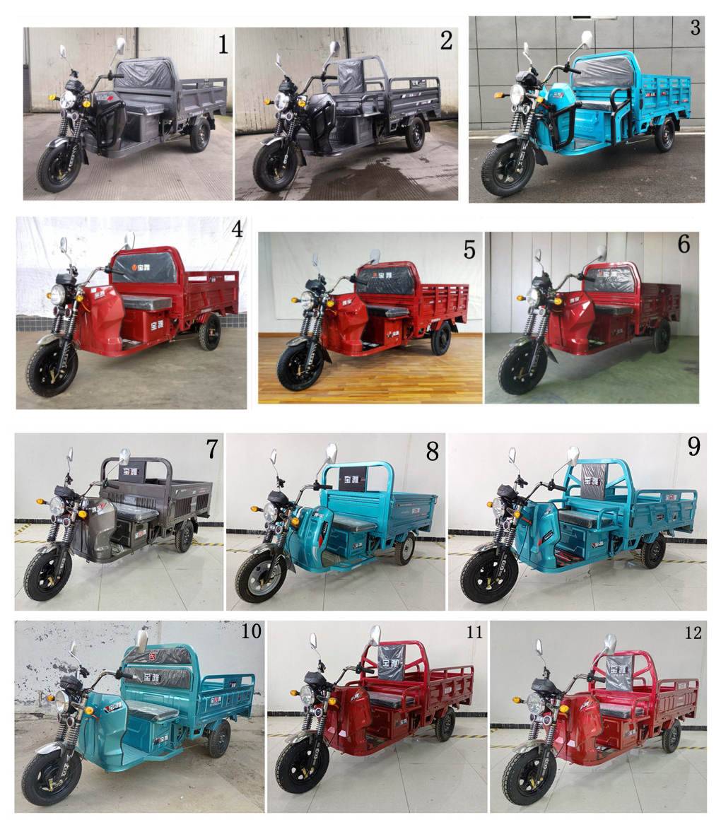 宝雅牌BY1500DZH-6电动正三轮摩托车公告图片