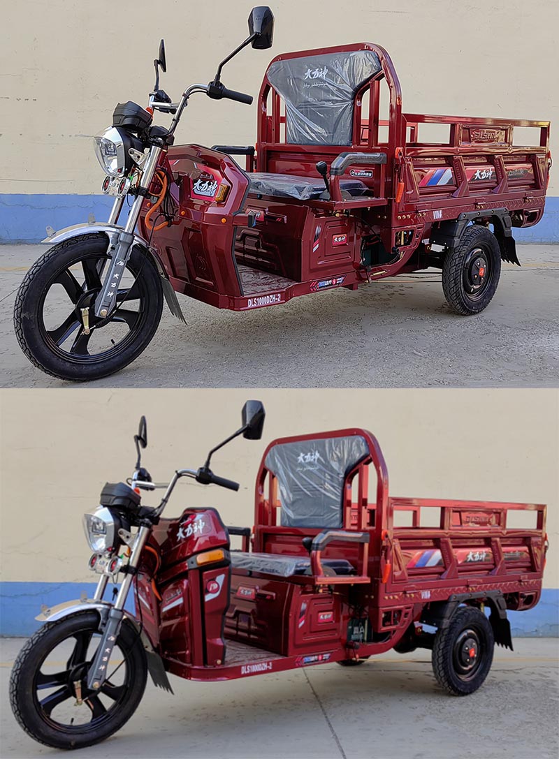 DLS1000DZH-2 大力神牌纯电动前鼓式后鼓式电动正三轮摩托车图片