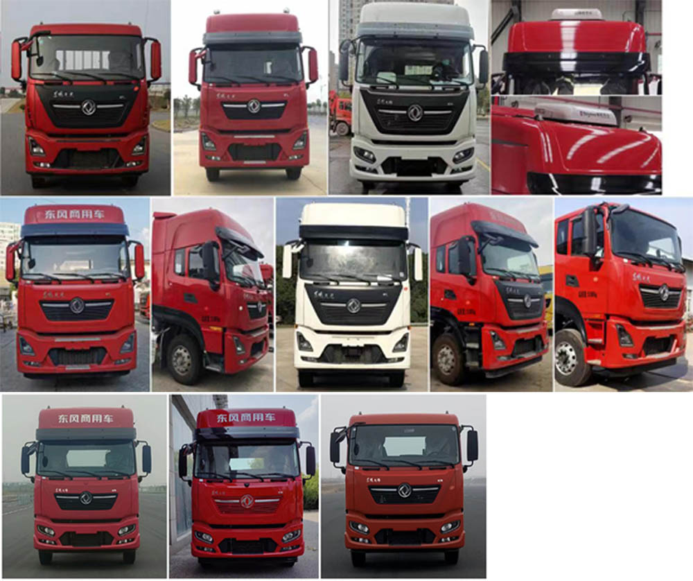 潤(rùn)知星牌SCS5313ZSLDFH6散裝飼料運(yùn)輸車公告圖片