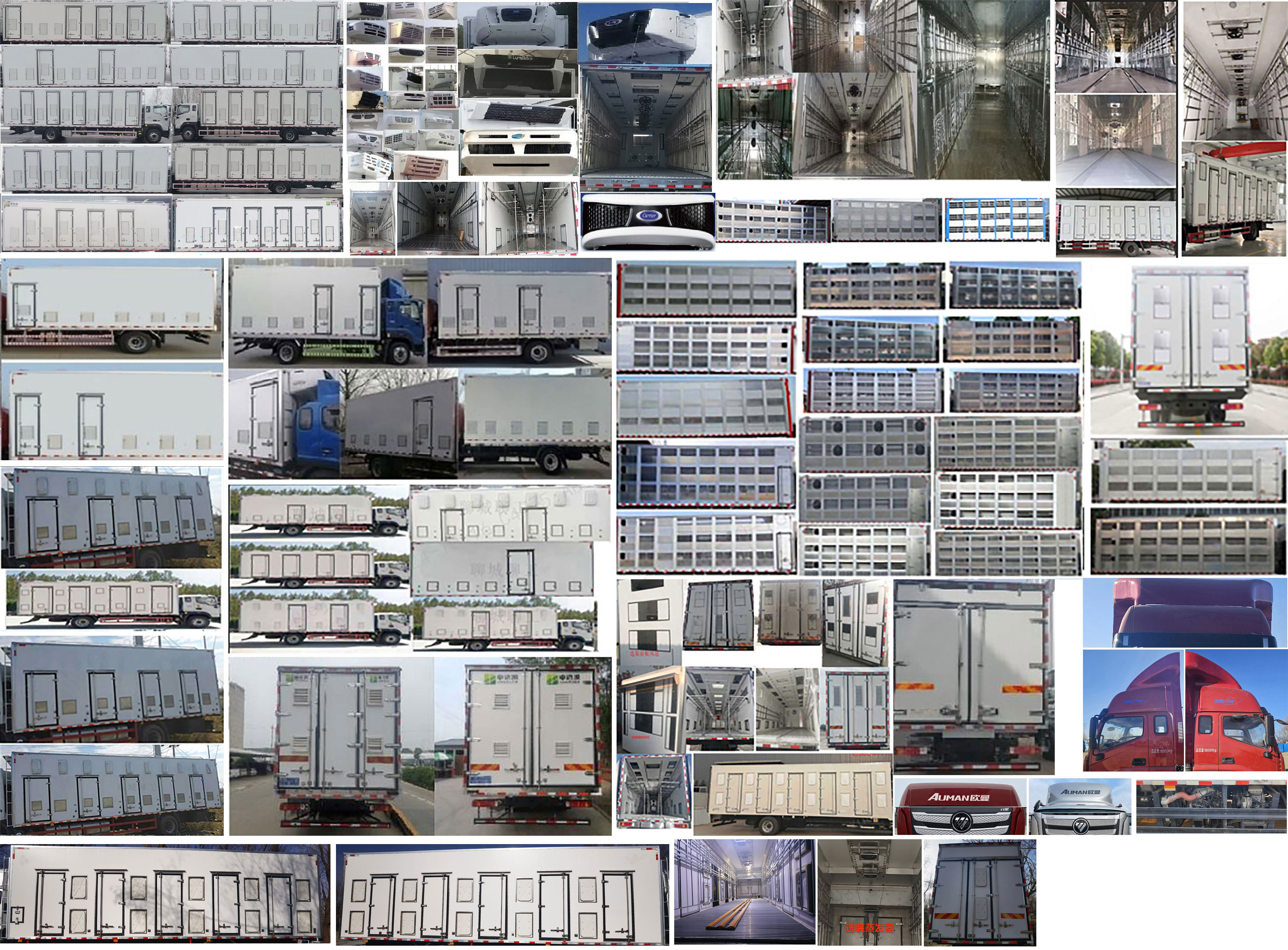 歐曼牌BJ5181XCQY6ANL-02雛禽運(yùn)輸車公告圖片