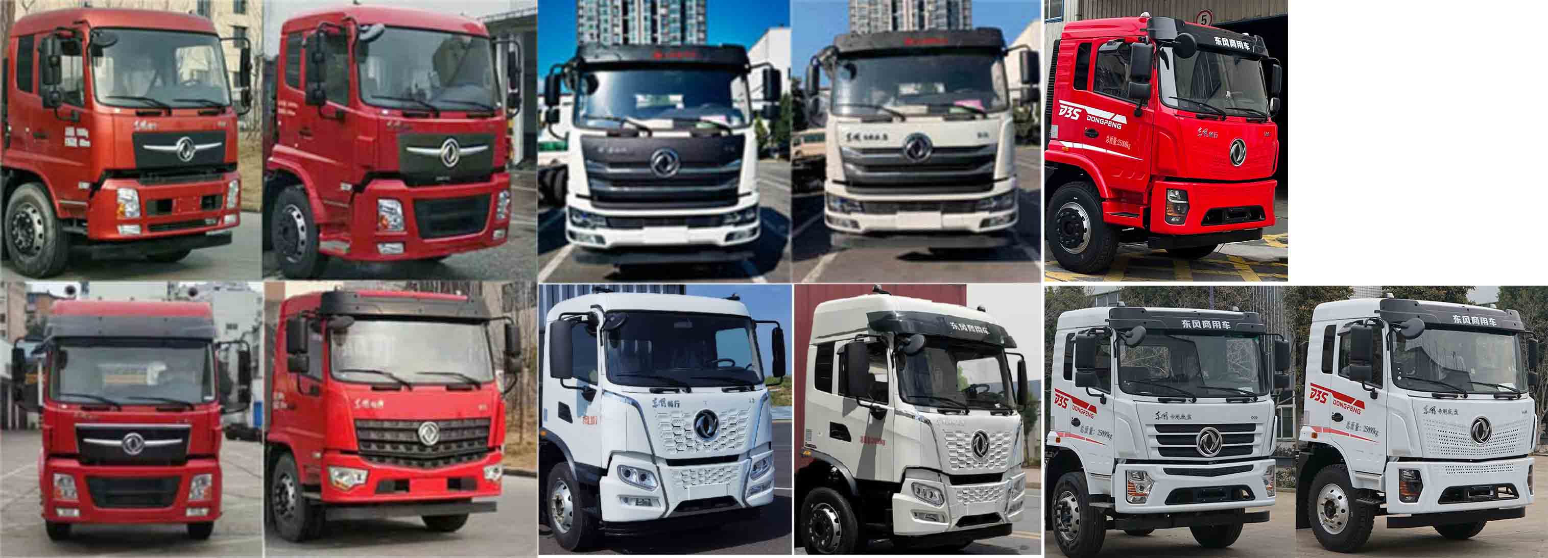 楚飛牌CLQ5252GSY6DJ食用油運(yùn)輸車公告圖片