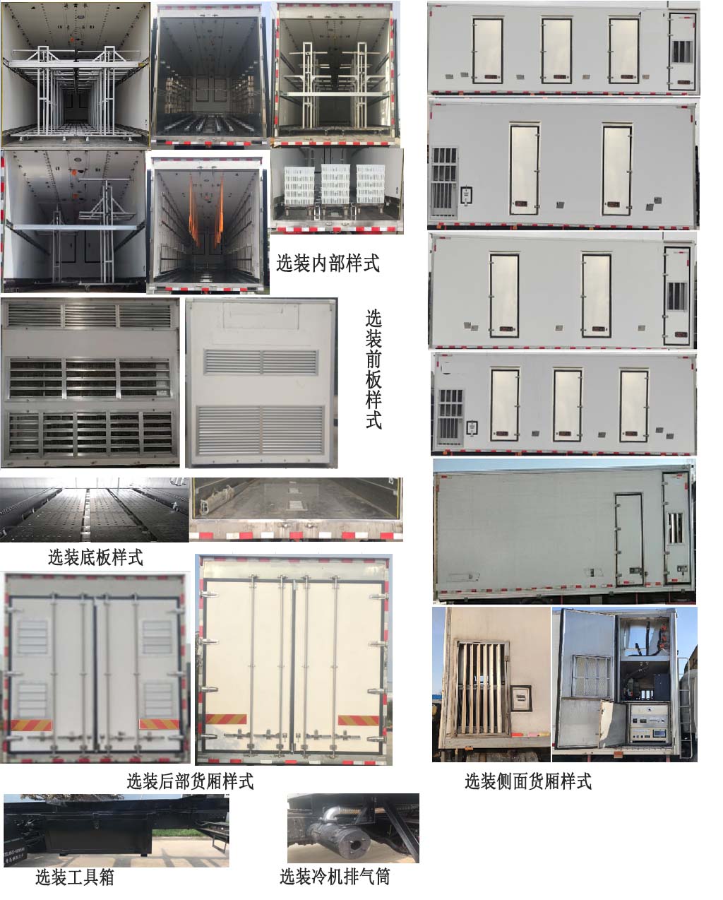 科萊特牌ZYX5183XCQCA-6雛禽運輸車公告圖片