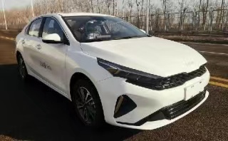 RWX5020XGJ01型工具車圖片