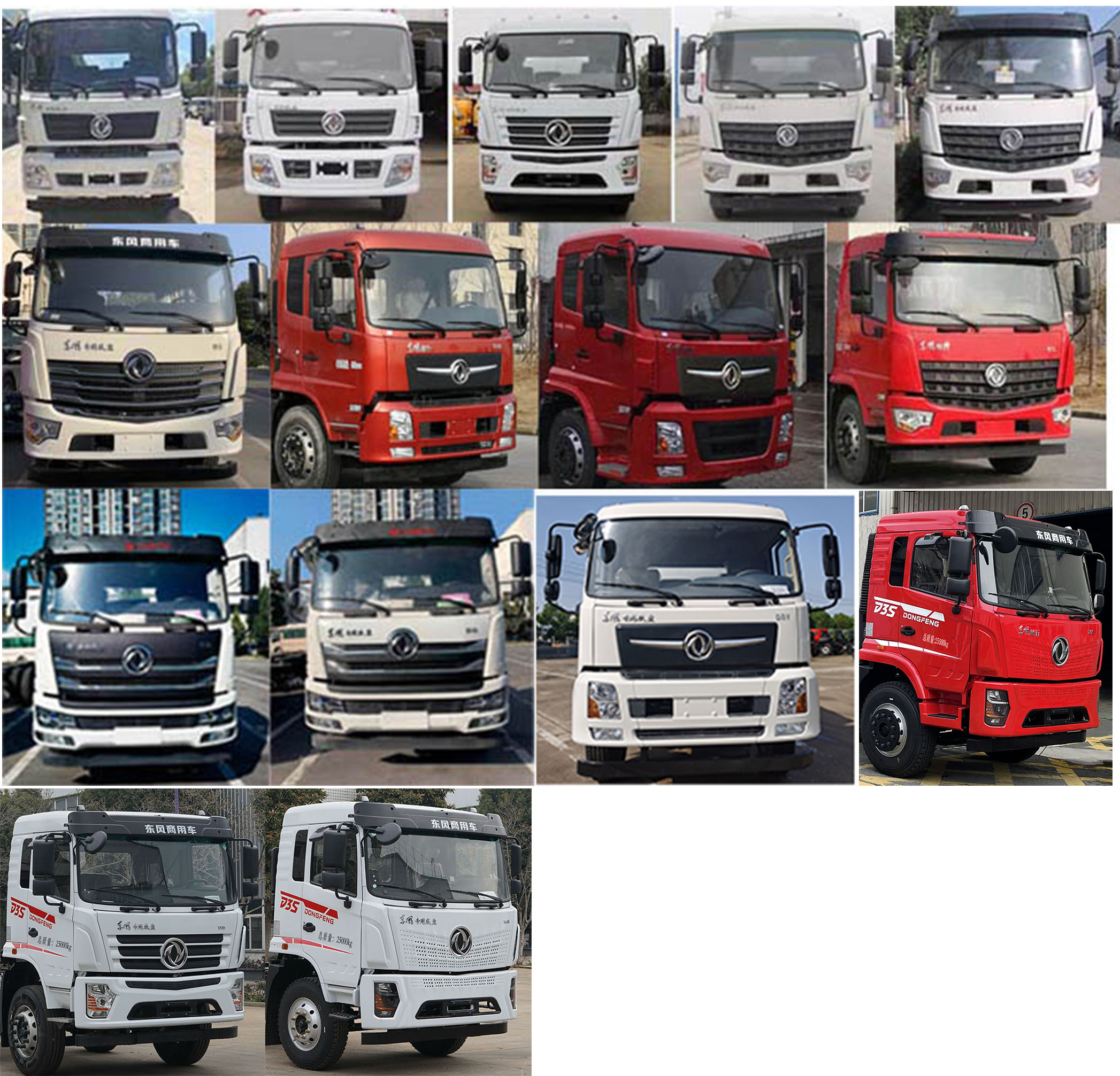 潤知星牌SCS5250GSYDFV6食用油運(yùn)輸車公告圖片