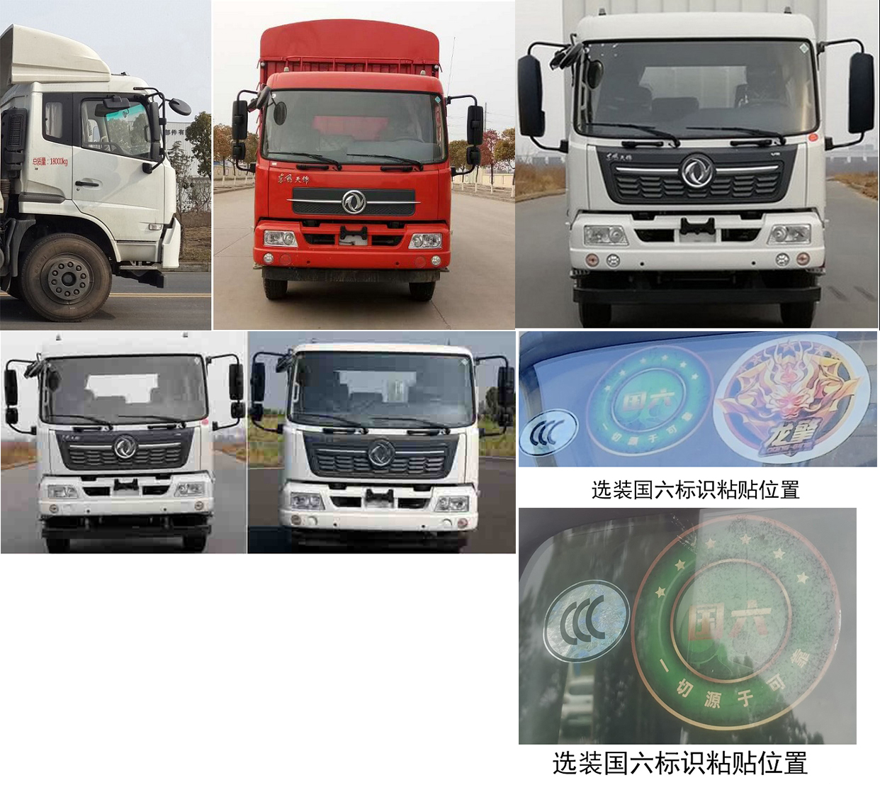 東風牌DFH5170CCYBX2倉柵式運輸車公告圖片